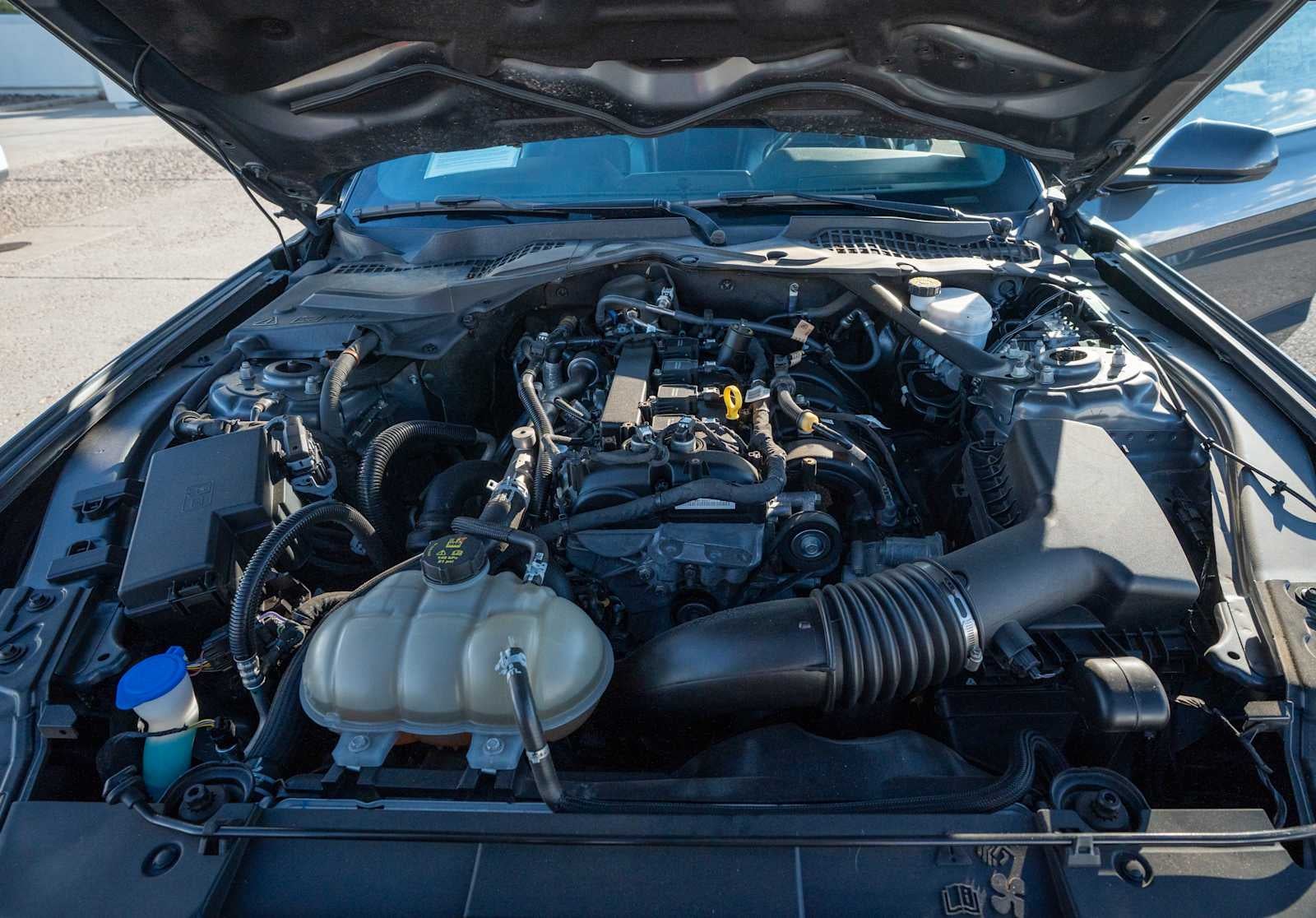 2023 Ford Mustang EcoBoost Premium Convertible